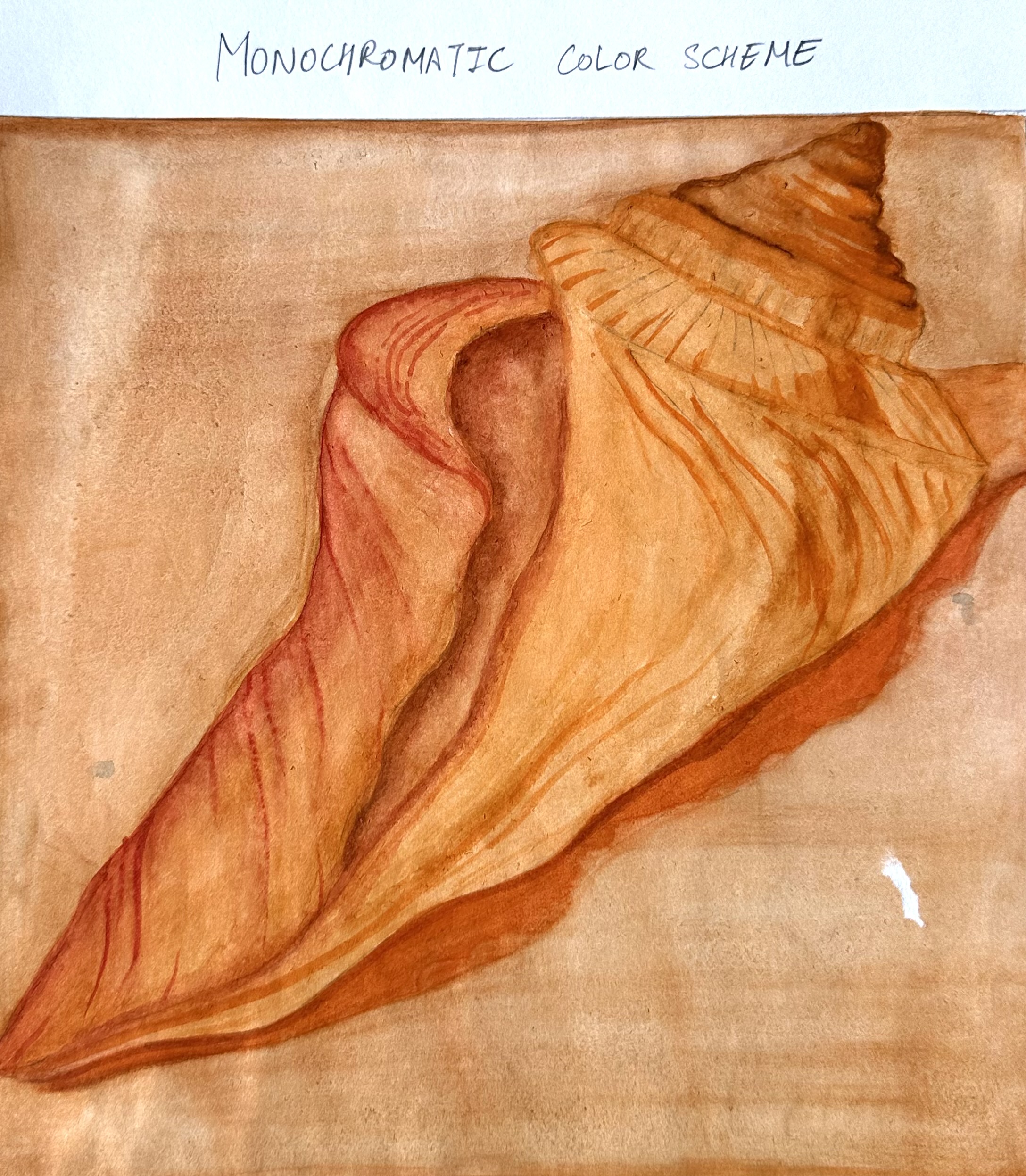 Photograph 16