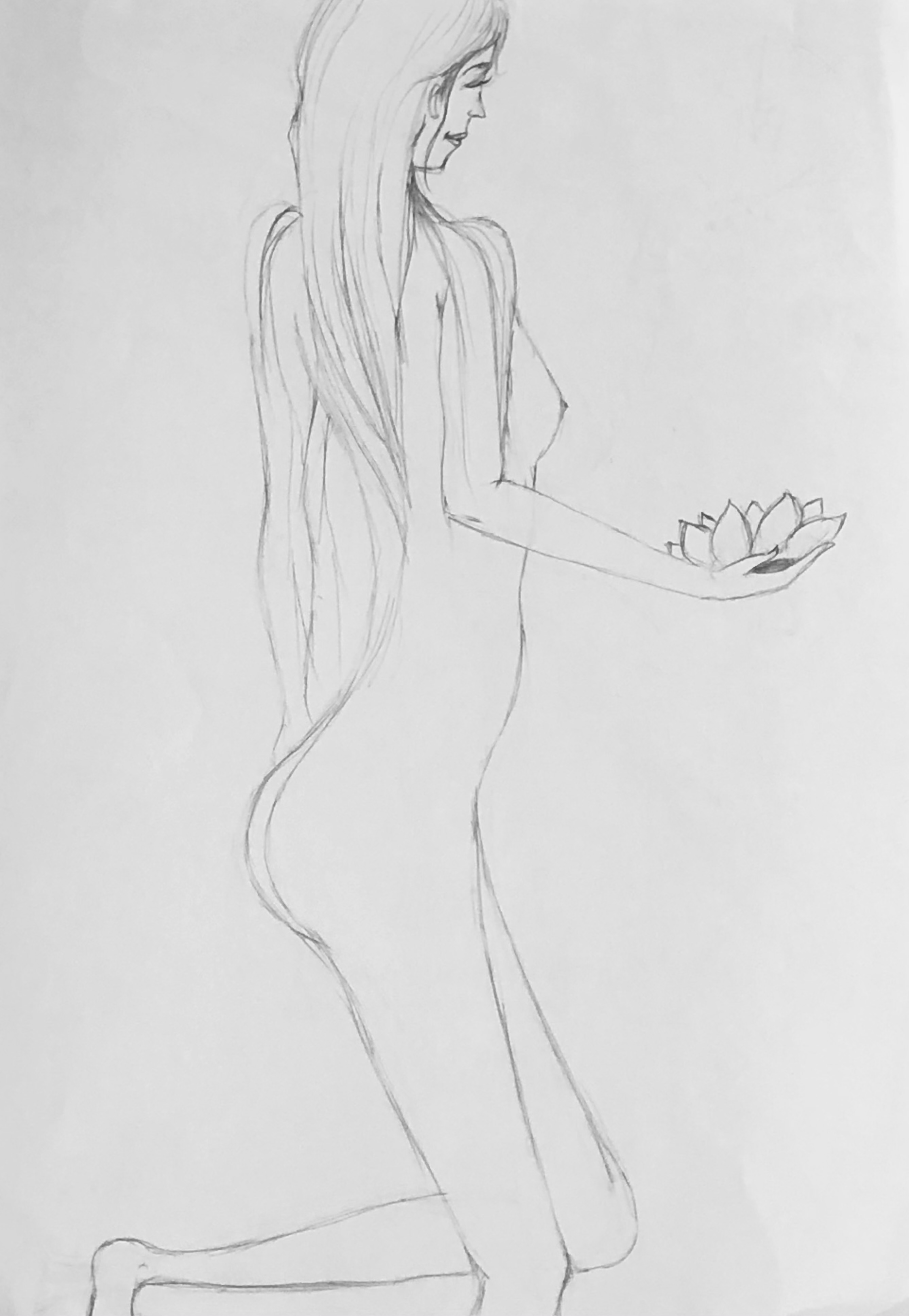 Photograph 17